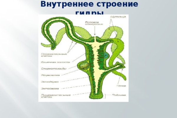 Kraken в россии