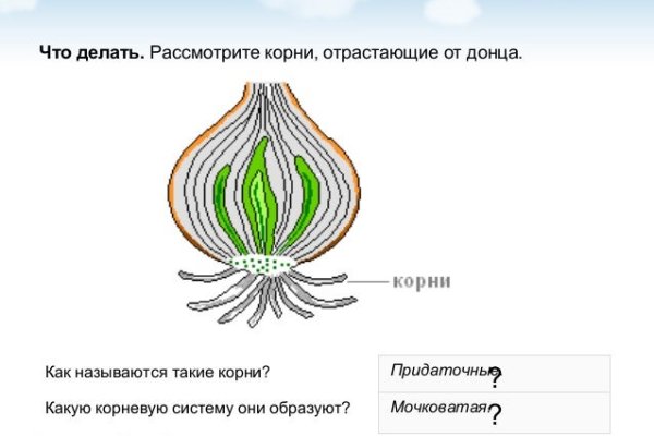 Ссылка кракен