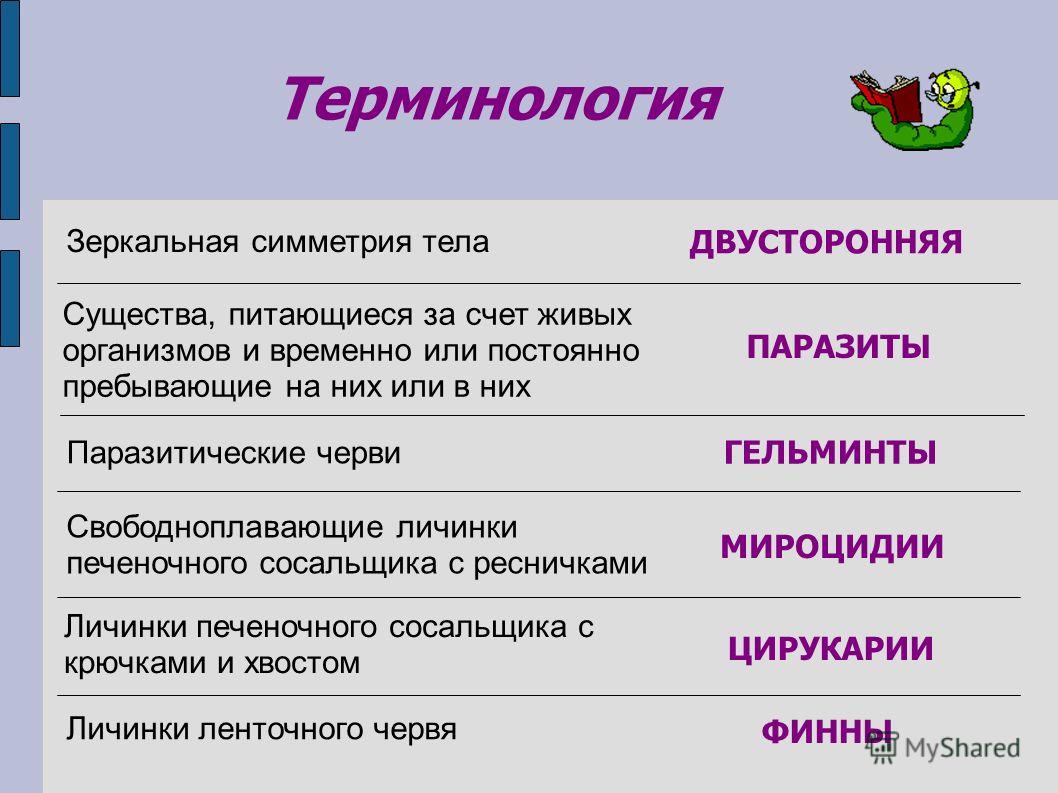 Что такое кракен маркетплейс